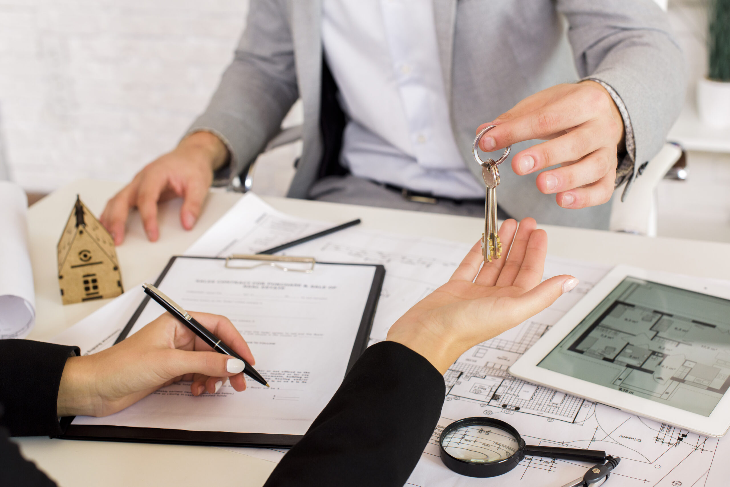 desarrollador inmobiliario
